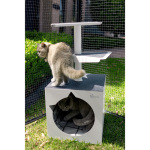 SkywalksOutdoorCatTree.jpg