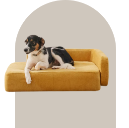 Pet Furniture