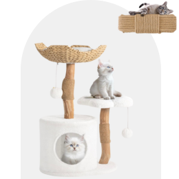 Cat Furniture